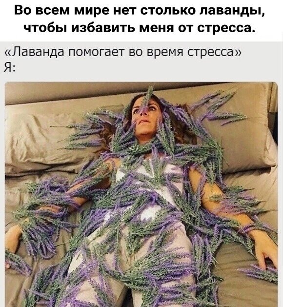 #психология #гештальт-терапия 