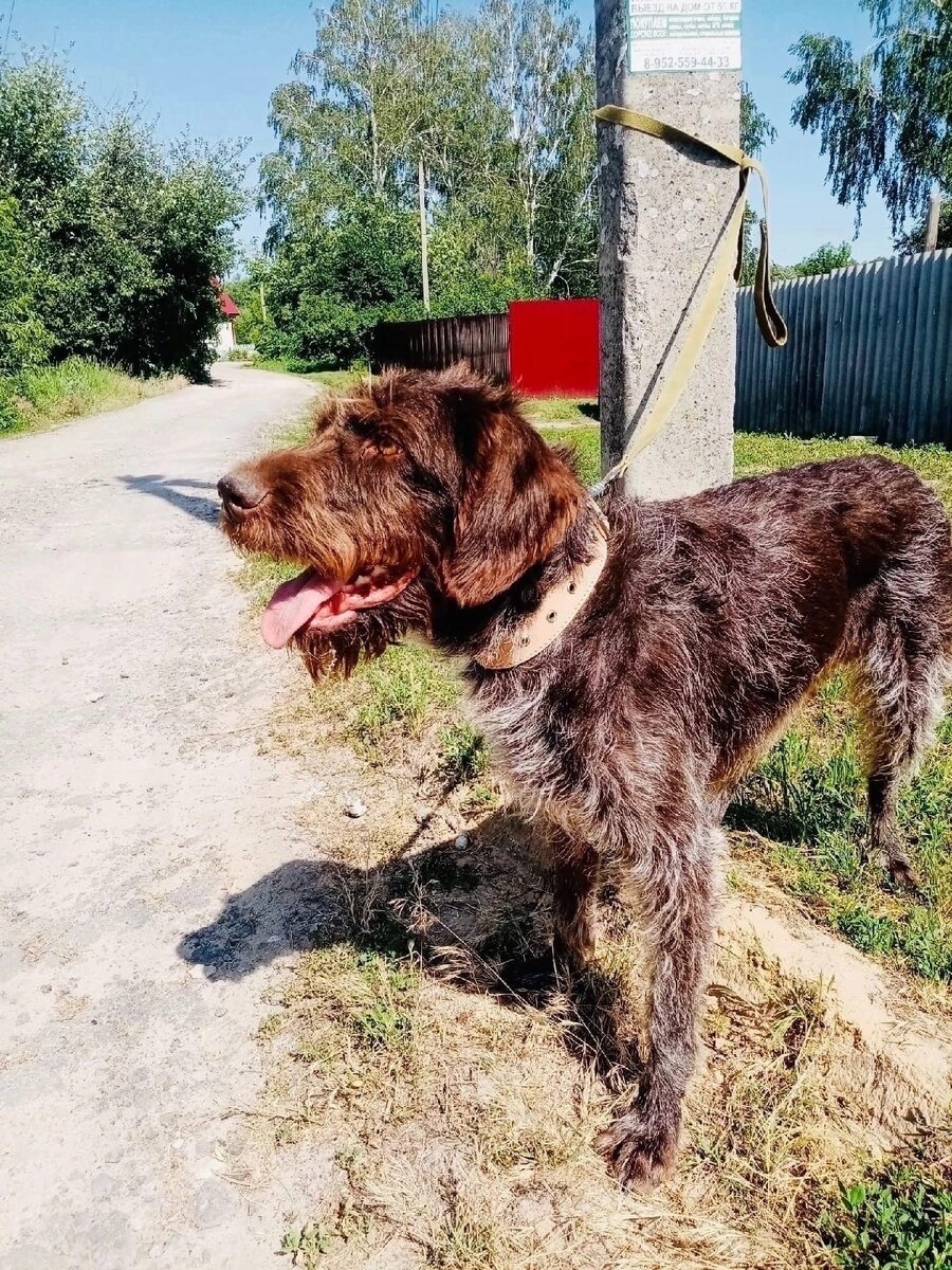 Верность воронеж