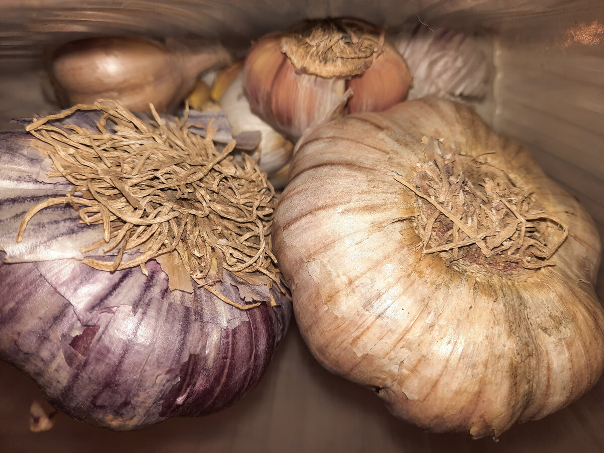 Можно чеснок разделить на дольки и так хранить в холодильнике в открытом контейнере .