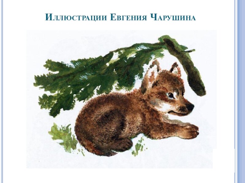 Источник: Яндекс Картинки