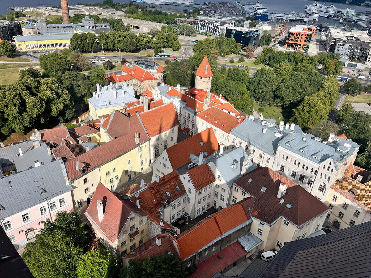 Вид на Таллин с церкви святого Олафа - самого высокого здания в Таллине. 