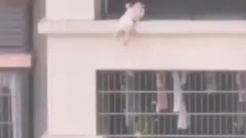 how to keep dog from jumping of balcony