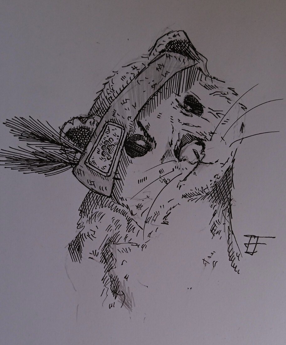 Новый персонаж))) Узнаете о нем в этой статье (Автор Герра) P.S. Рисовал давно так что не судите строго.