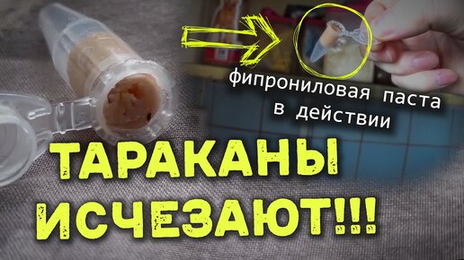 Испытания ПАСТЫ ОТ ТАРАКАНОВ в квартире