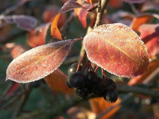   Сергей Иванов