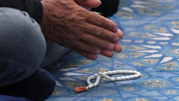   © Sputnik / Максим Богодвид