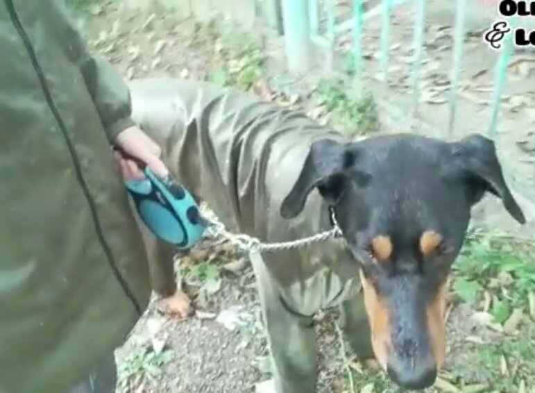 Идём рядом. 