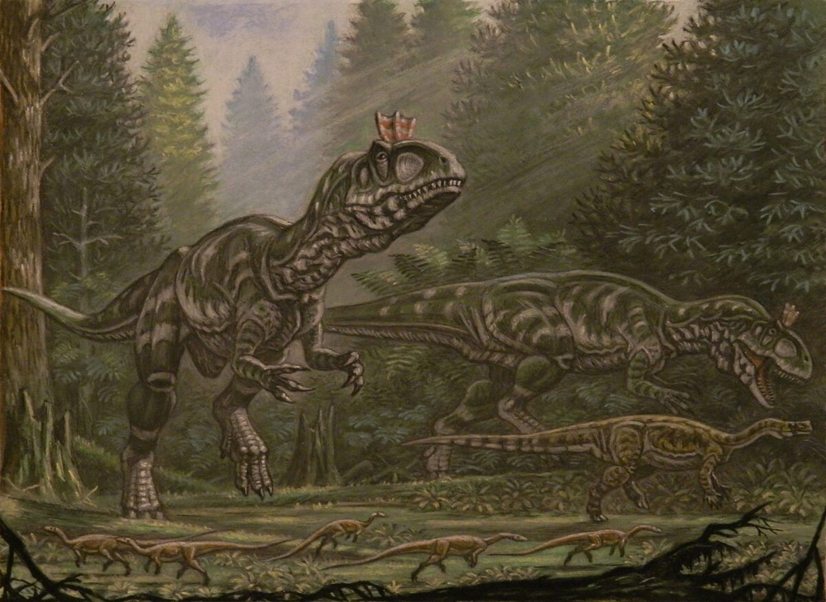 Его величество с супругой вышли в народ.