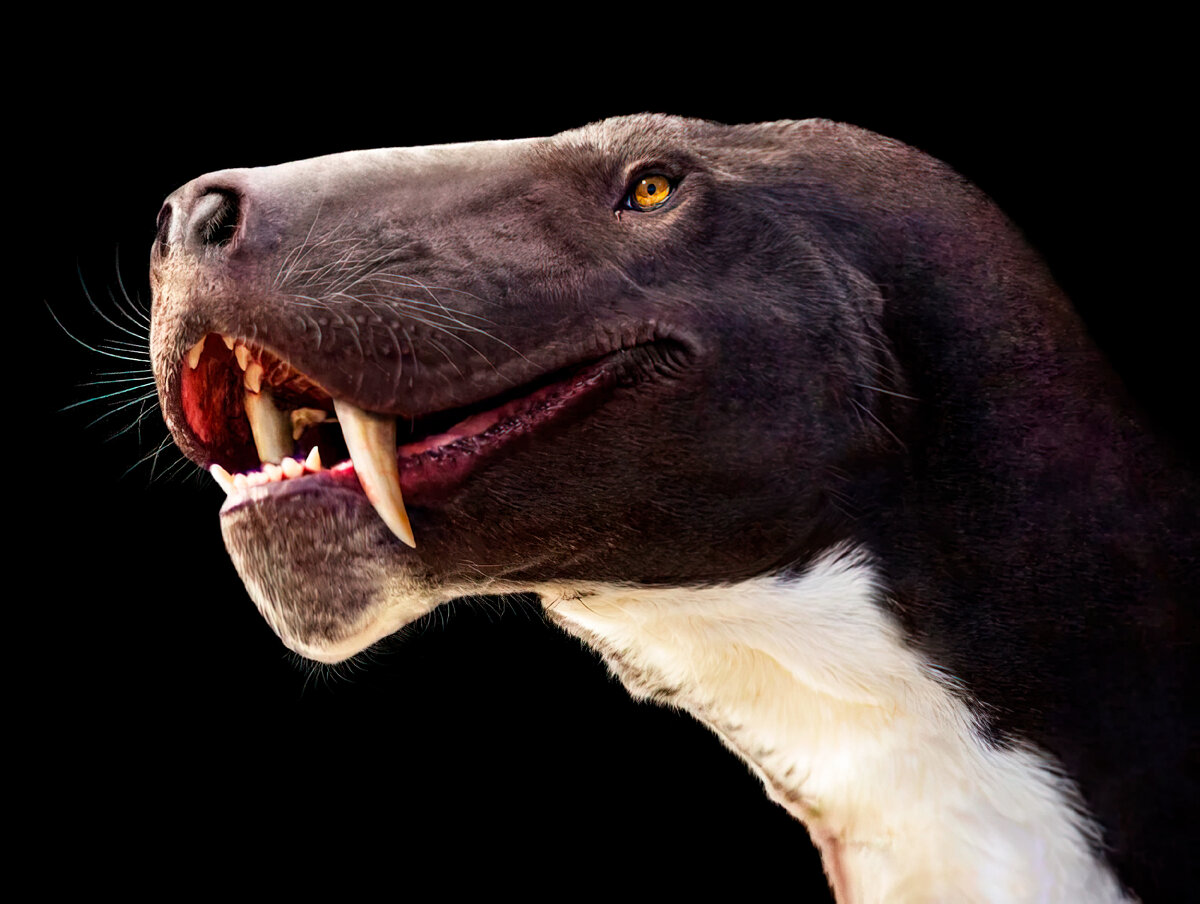 Горгонопс. Саблезубый звероящер. Вымершее животное. Факты о животных