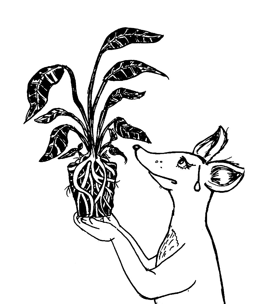 Бедненький парень!