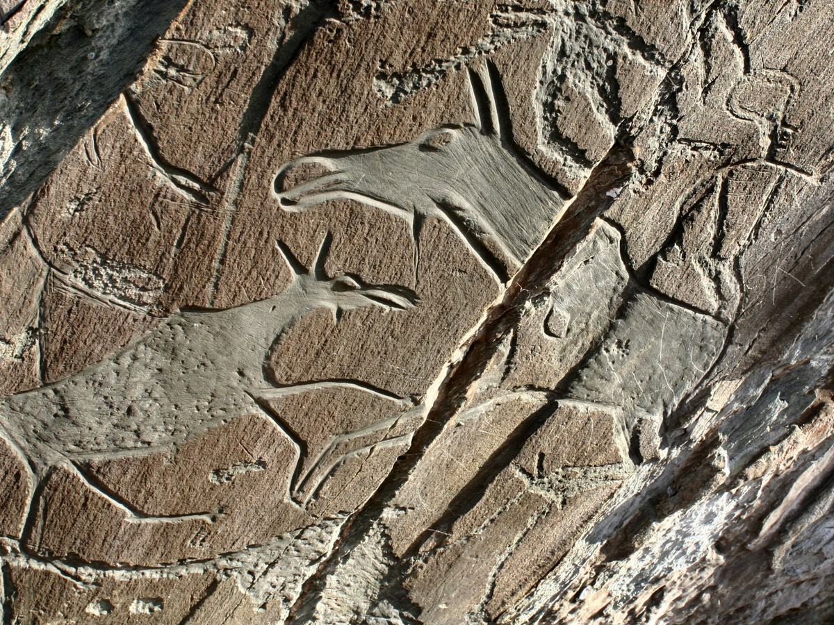 Наскальные рисунки музея. Источник фото: https://media.fom.ru/