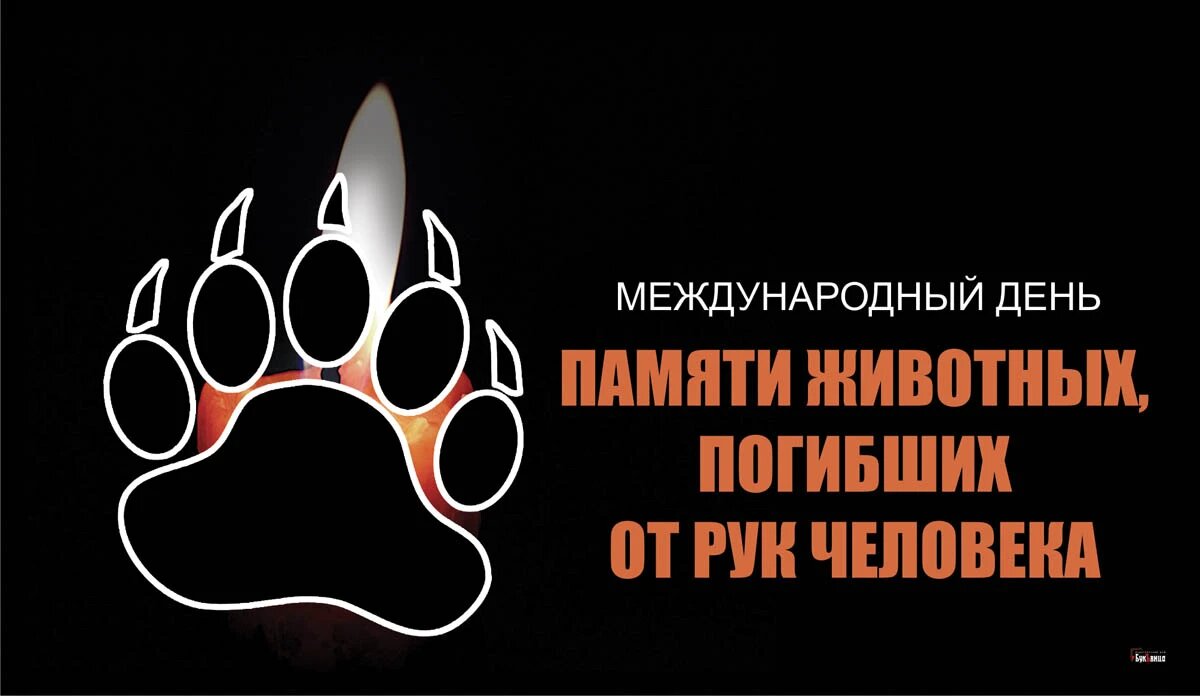 Международный день памяти животных, погибших от рук человека. Иллюстрация: «Курьер.Среда»