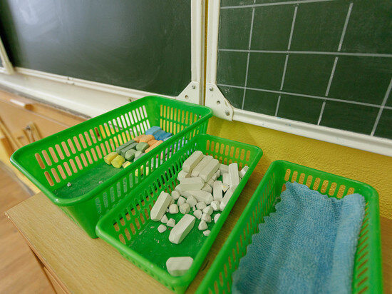     В школах готовятся ввести военную подготовку / Вадим Боченков