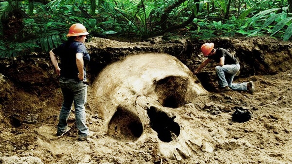 Огромный череп в джунглях