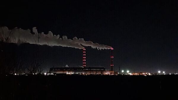   © Sputnik / Елена Бережная