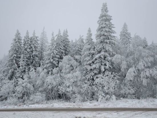     Фото: Юлия Боровикова