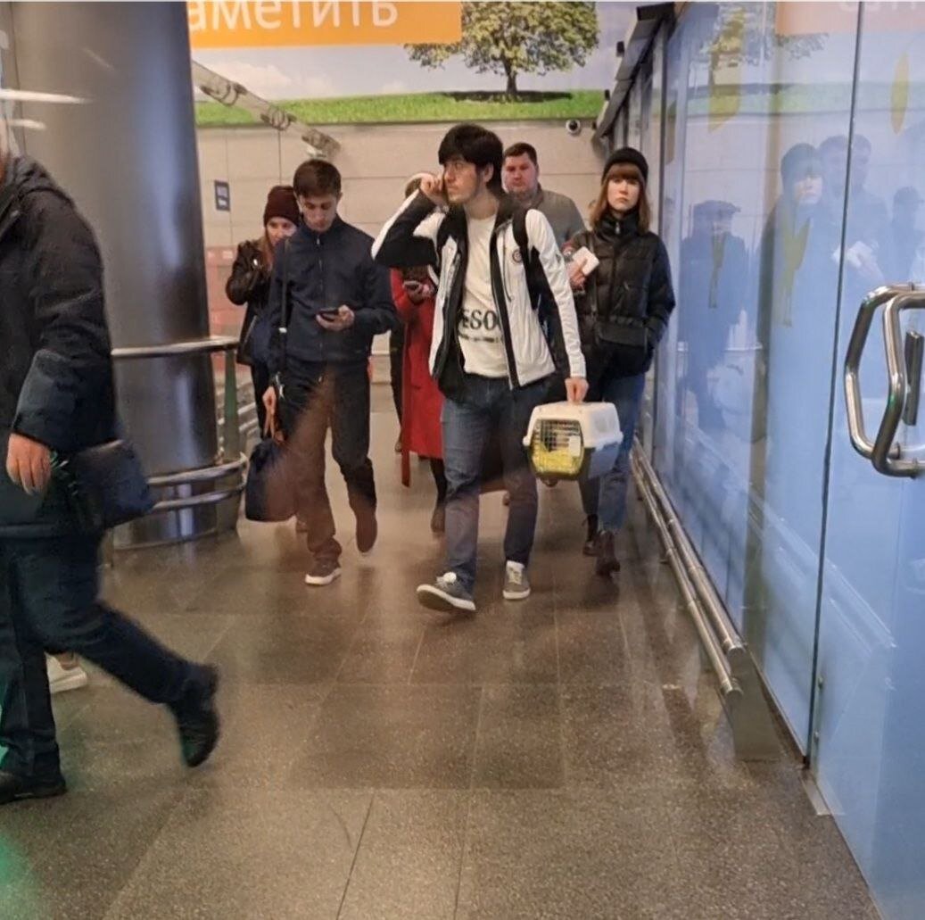 Парень с переноской с котятами