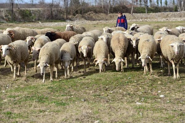 Фото: depositphotos.com
