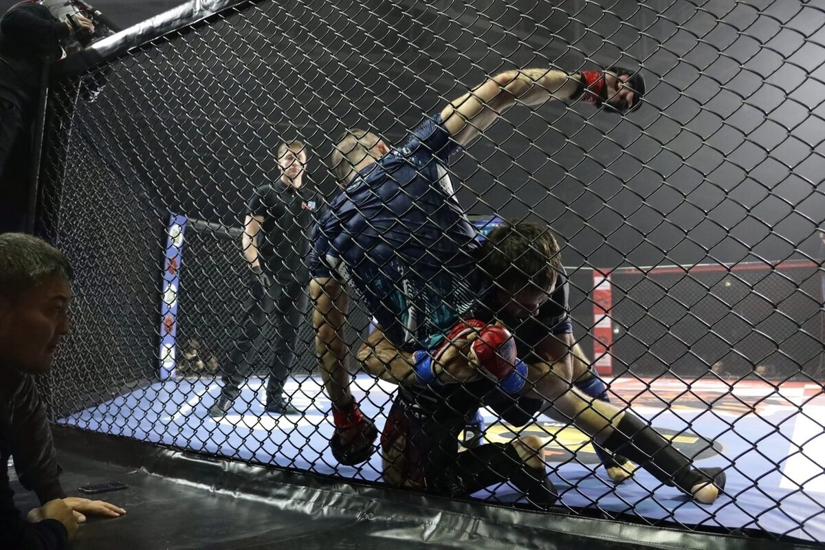    Определились финалисты Кубка содружества по смешанным единоборствам