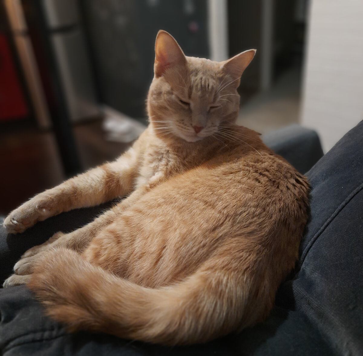 Наказание не подстерегает