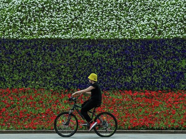   © РИА Новости Евгений Одиноков