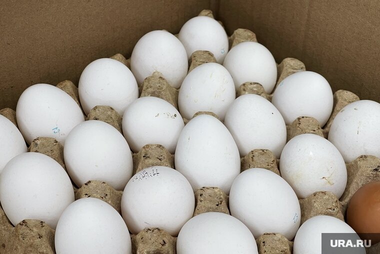    Рост цен на продовольственном рынке связан с тем, что крупные компании определяют стоимость продуктов, заявил Беляев