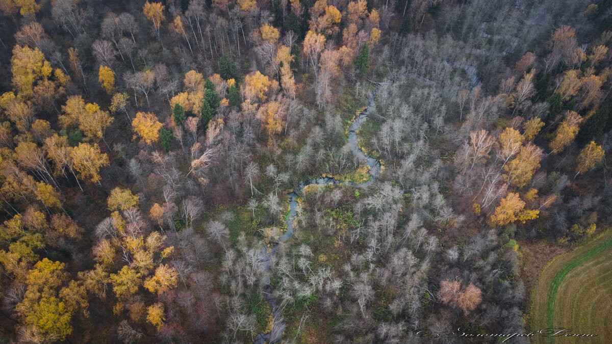 История одного ручья или как... | Тропами Руси | Дзен