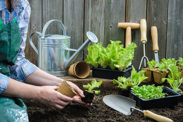 Садоводство