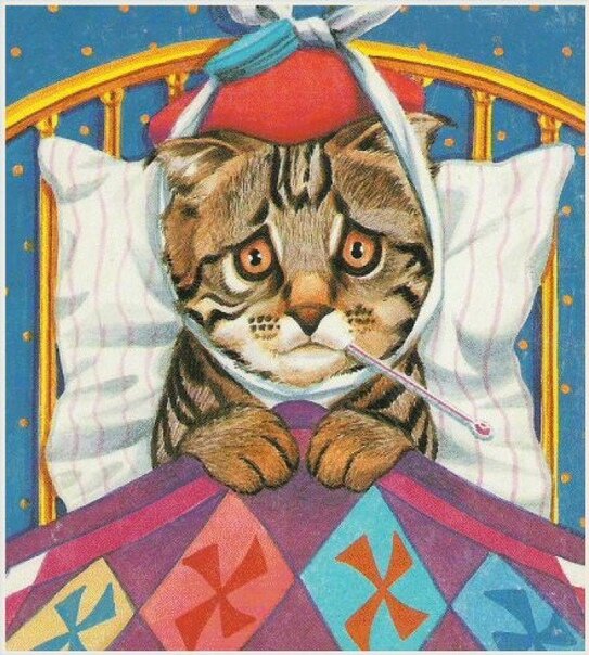 #кот #котзаболел #нашкот #нашкотейка