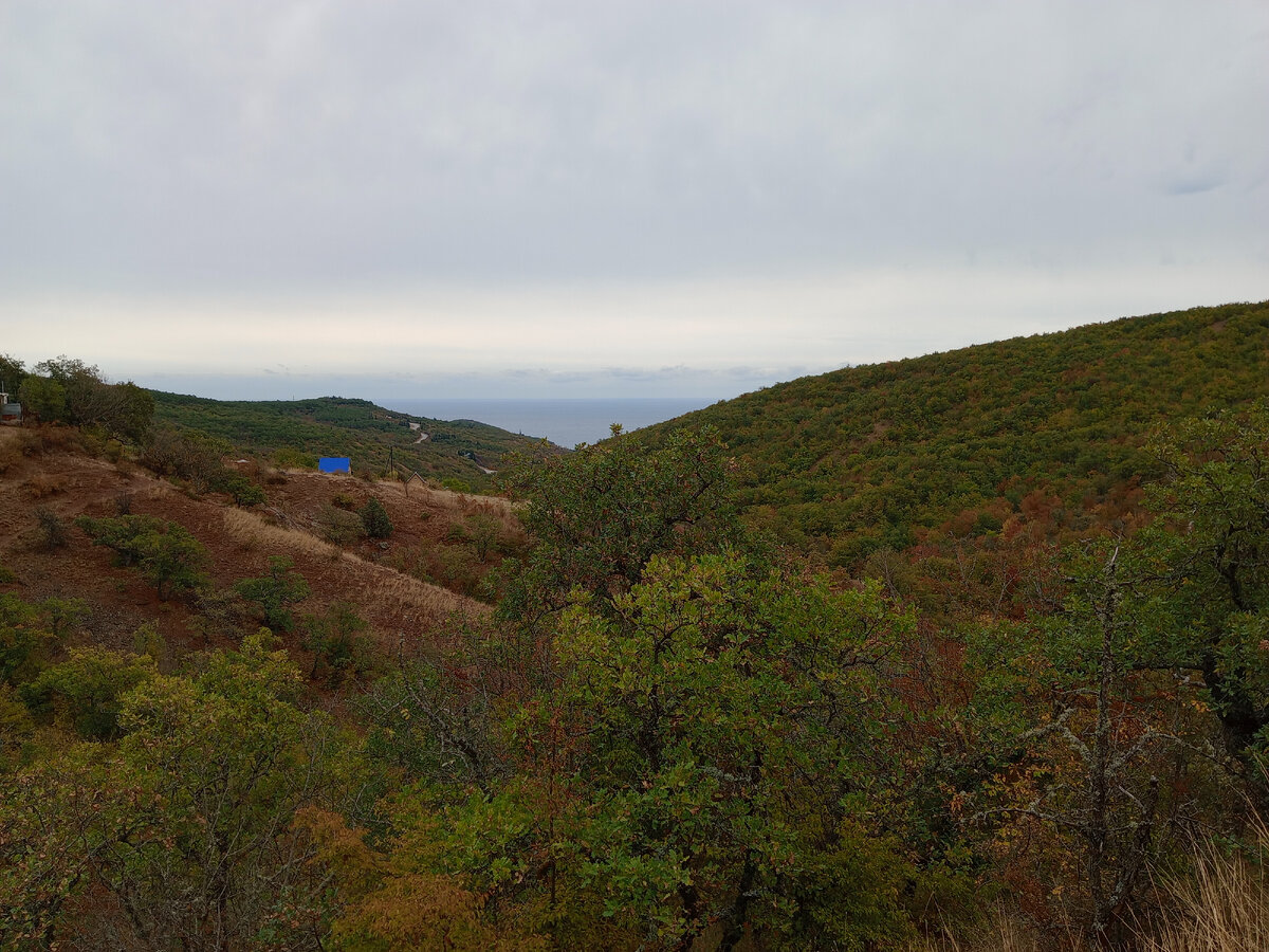 Вид который нас окружал по пути к каменным грибам