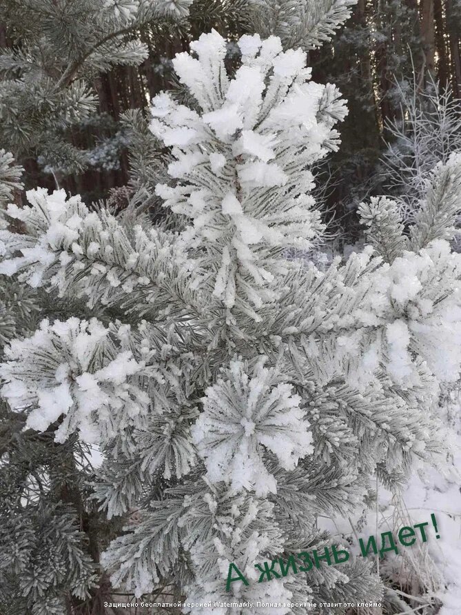 Фото прошлого года. Для настроения" 