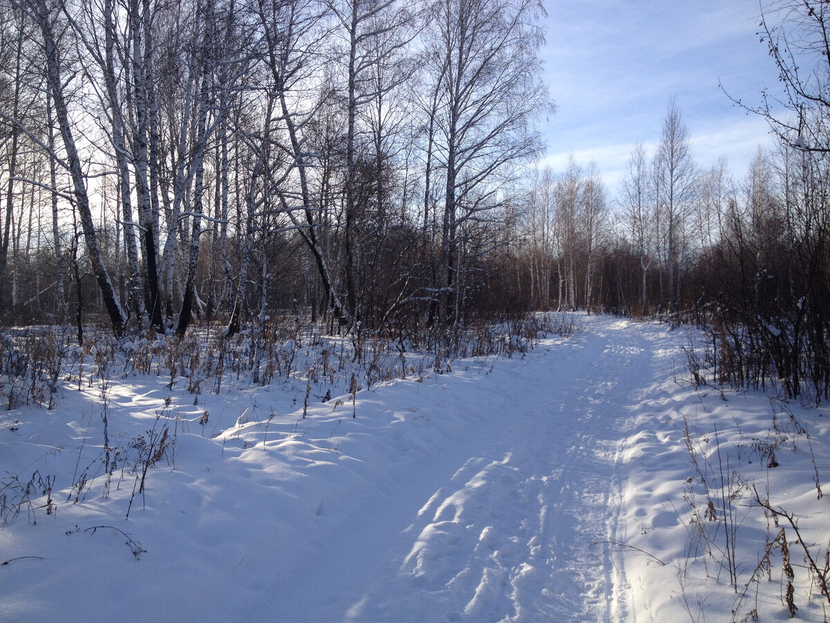 Одним зимним днем