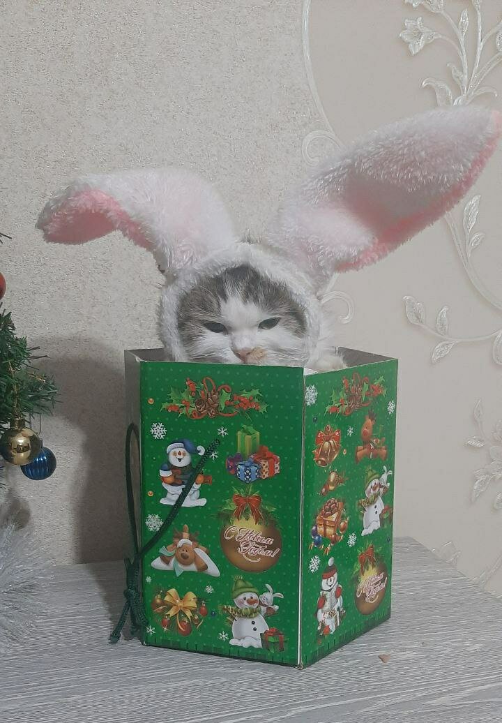 -2