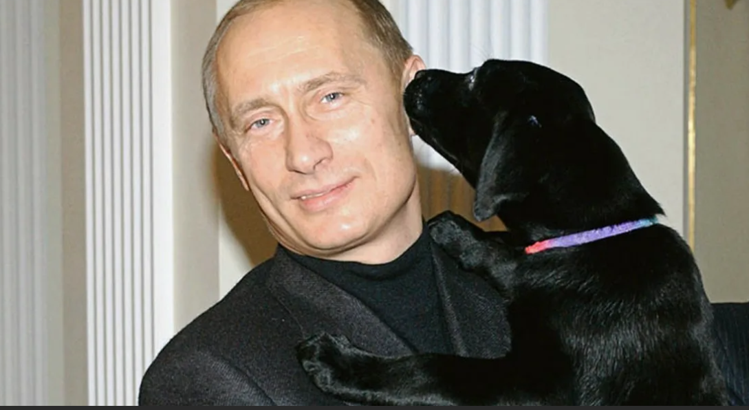 Как выглядит собака путина Это существо было заперто в клетке годами! Секретная собака Путина!" - свежие да