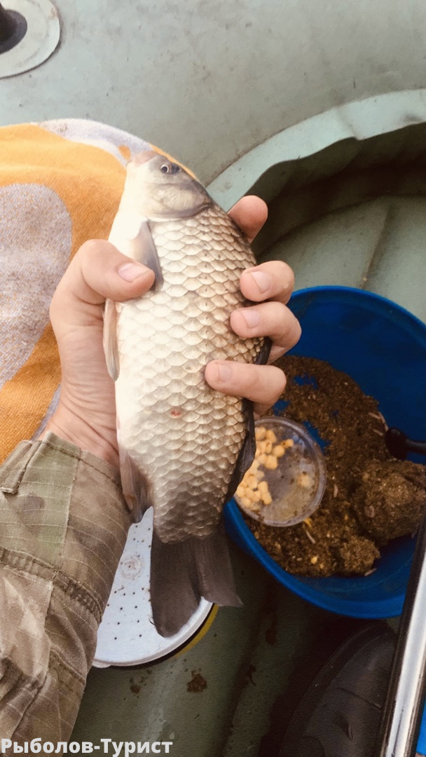 Поклевки начались в 4.33 утра.