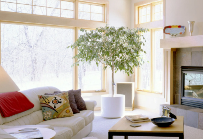 Фэн-шуй для защиты дома