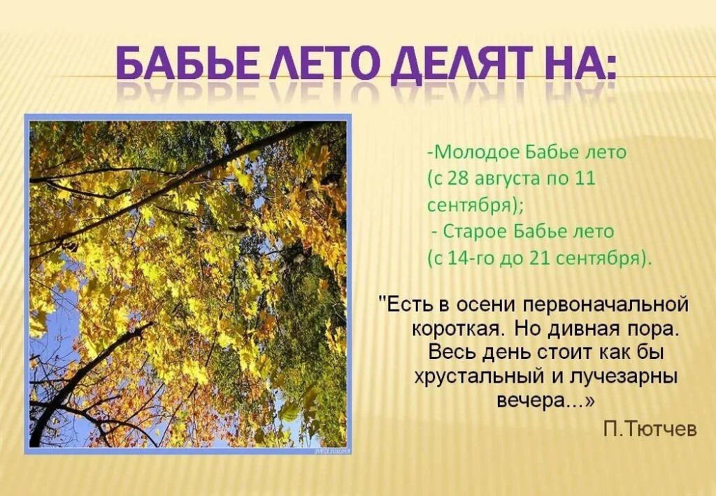 Почему бабье лето так называется? | АиФ Красноярск