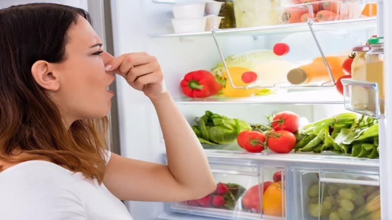 От неприятного запаха в холодильнике никто не застрахован. И если с новым холодильником всё очевидно, то найти причину запаха в холодильнике, которым вы уже пользуетесь не первый год, будет сложнее.