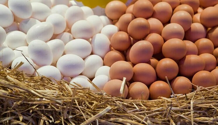 Изображение взято из открытых источников