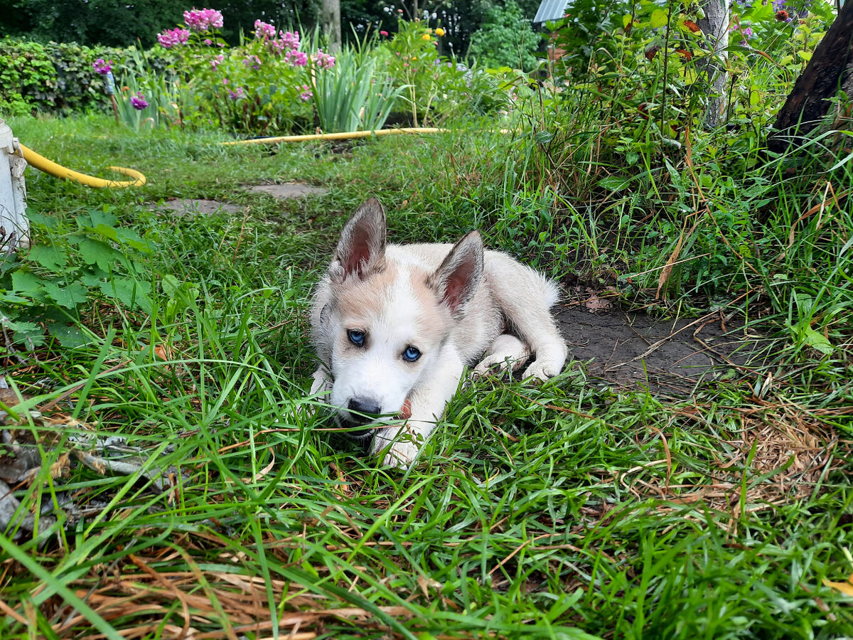 Его голубые глаза никого не оставили равнодушным