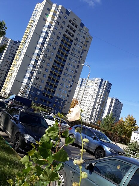 Нижний Новгород, 28 сентября 2021