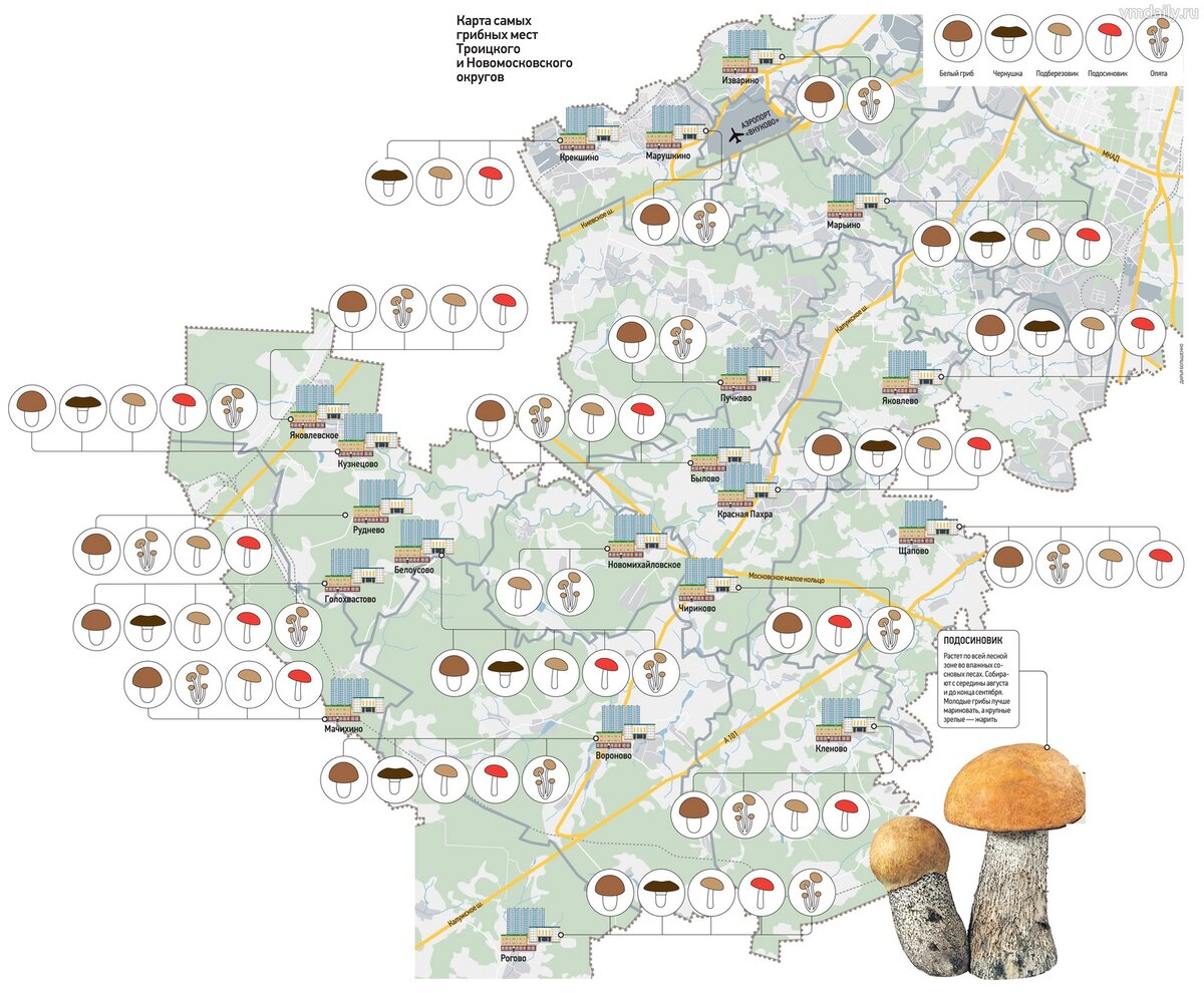 Карта грибных мест карелии