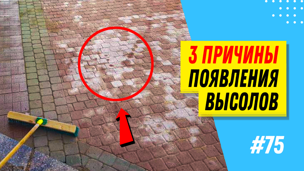 Как убрать высолы на тротуарной плитке. Видео