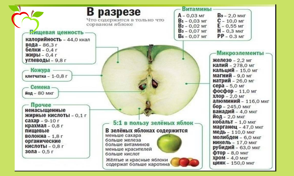 Сколько калорий в одном зеленом яблоке