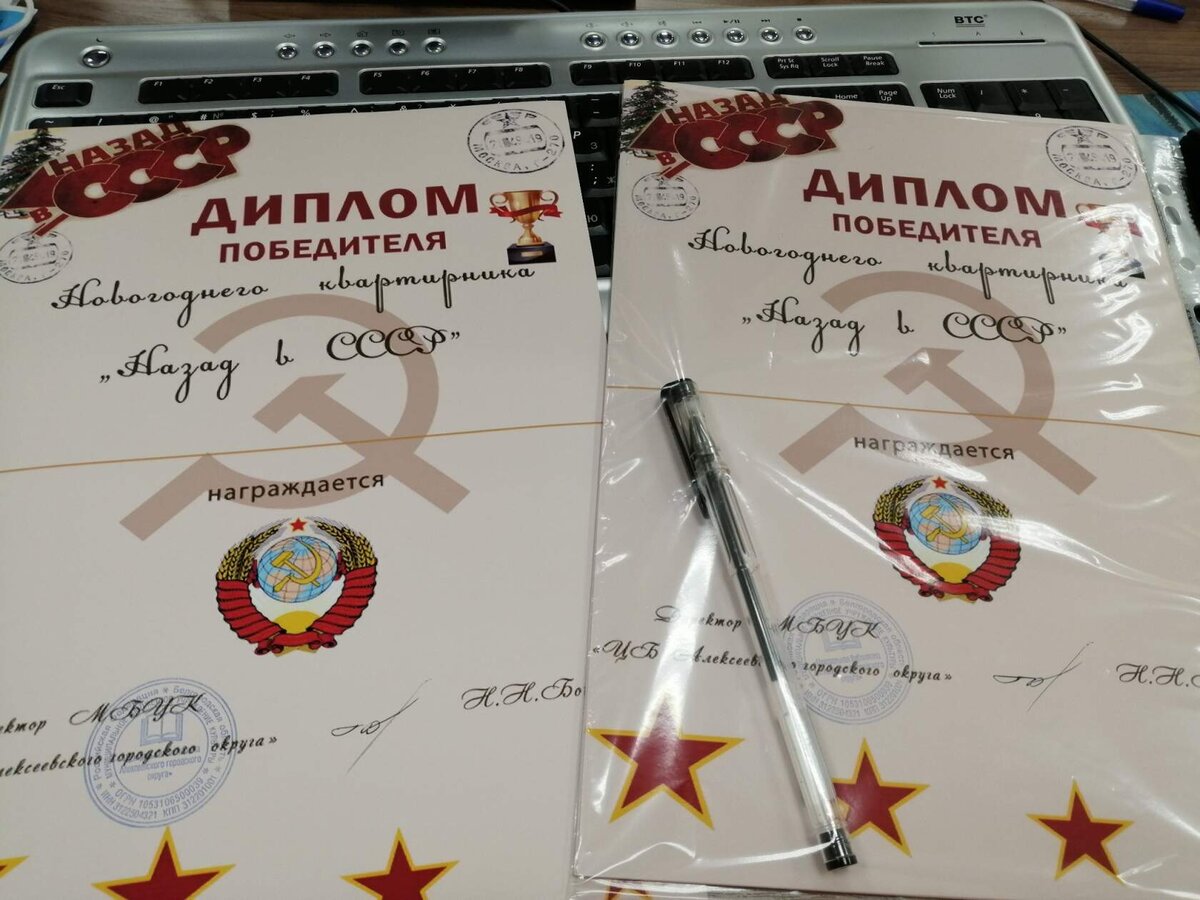 разработала дипломы