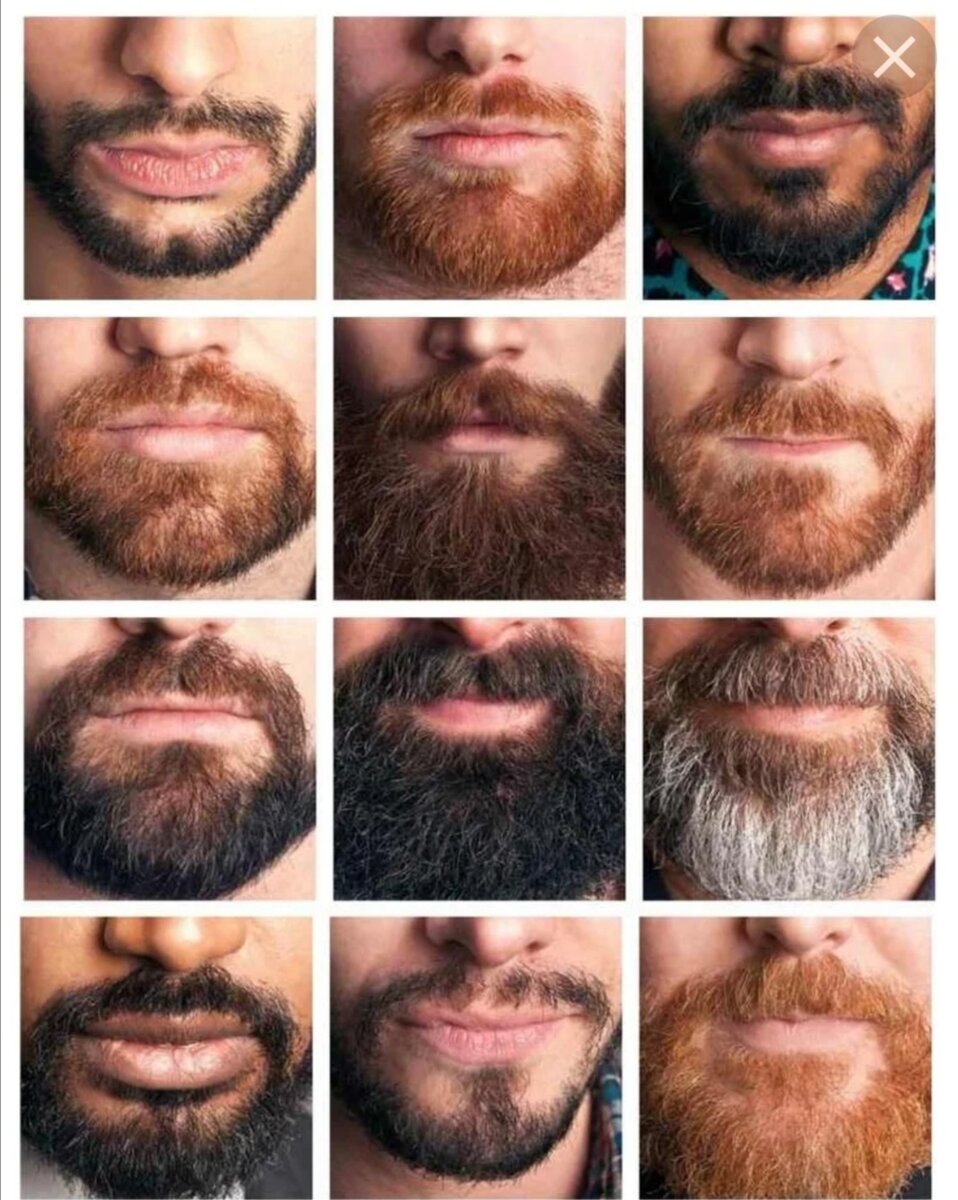 Рыжая крашеная борода. Как выбрать краску для бороды. Борода. Ухоженная борода. Каким цветом будет борода.