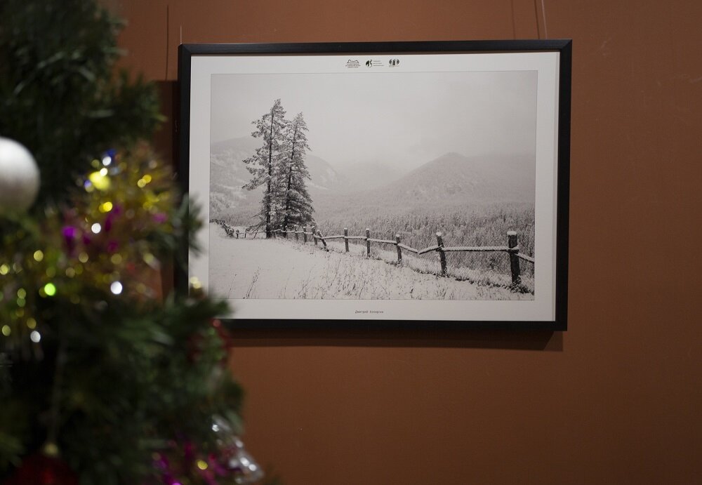 Автор: Дмитрий Кочергин