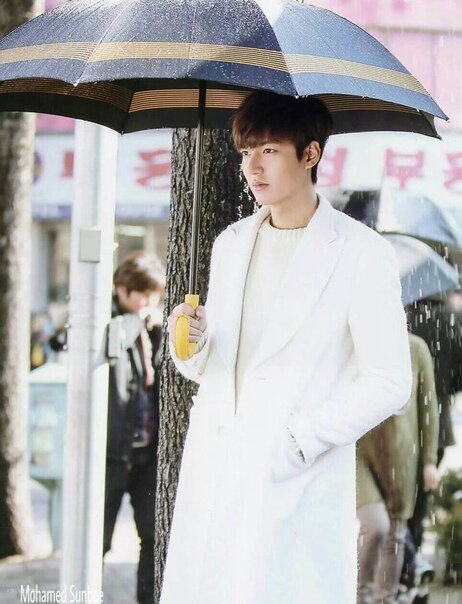 Ли Мин Хо
