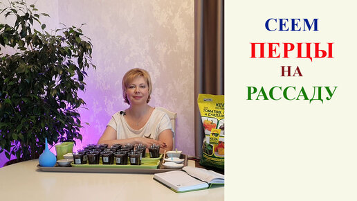 ПОСЕВ ПЕРЦЕВ НА РАССАДУ. | ЛЮБИМЫЙ СЕЗОН | Дзен