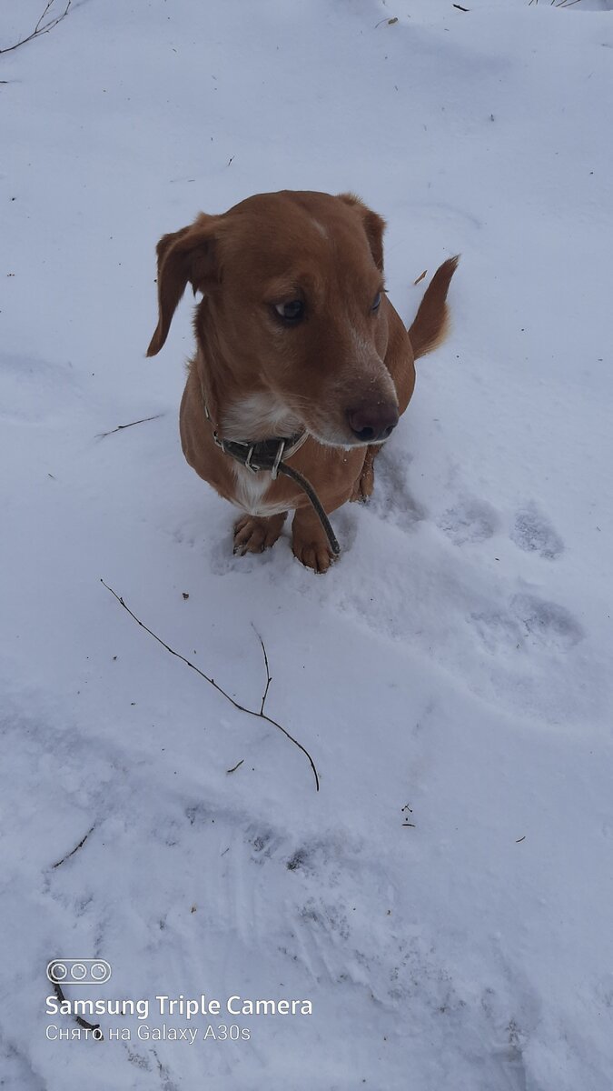 Фото автора.